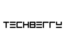 TechBerry review